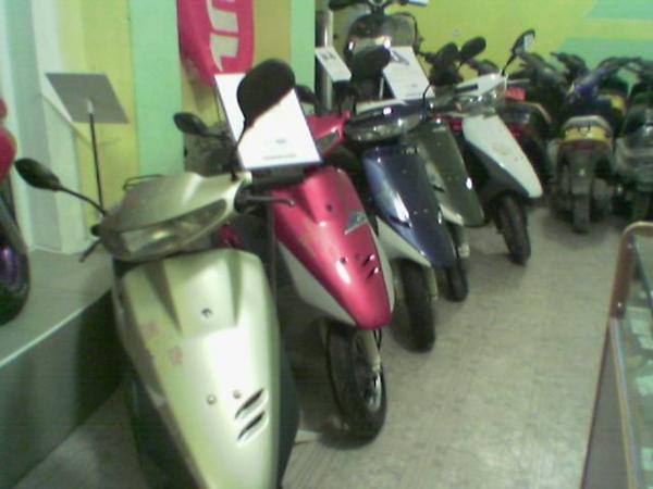 minimoto 13206088